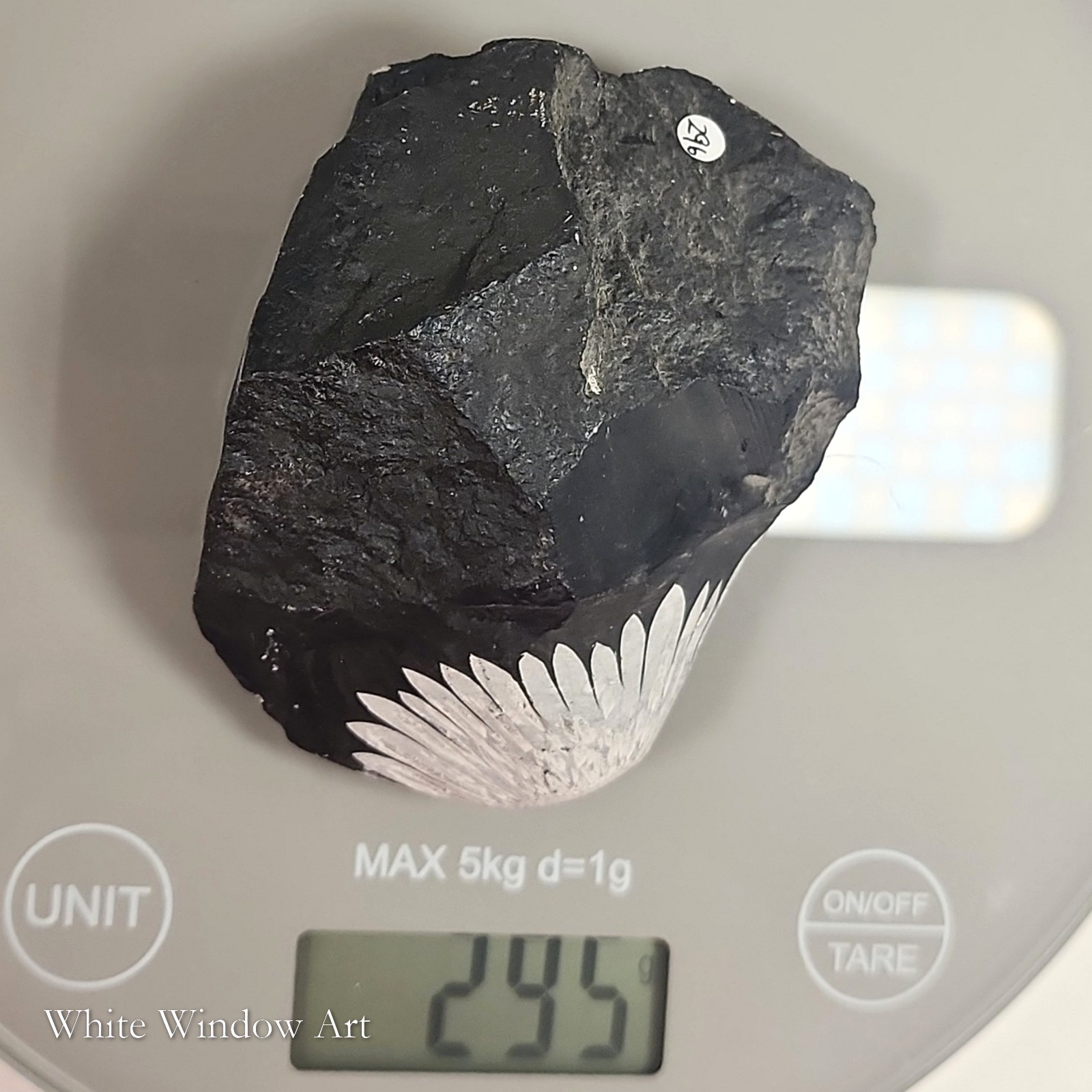 אבן כריסנתמום נדירה Chrysanthemum Stone – תמונה 2