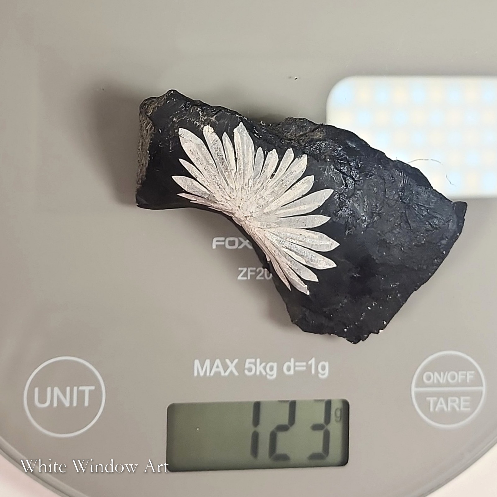 אבן כריסנתמום נדירה Chrysanthemum Stone – תמונה 5