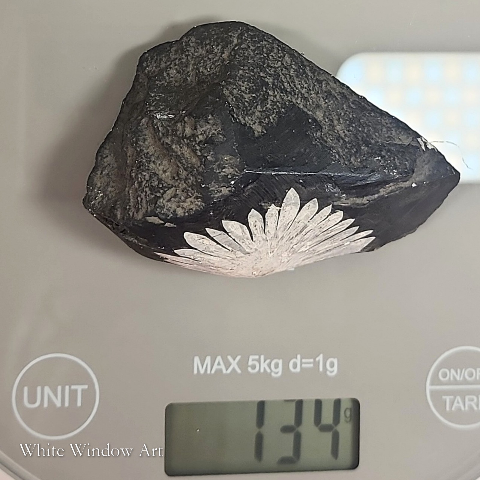אבן כריסנתמום נדירה Chrysanthemum Stone – תמונה 8