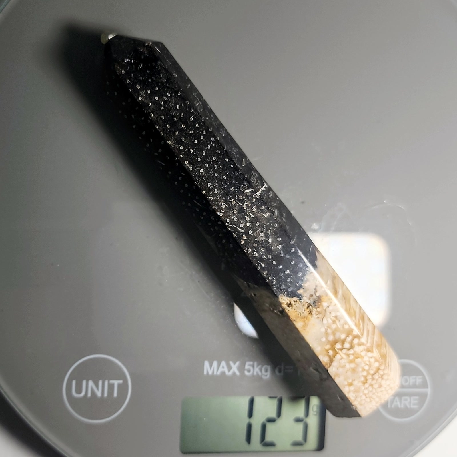 מגדל Palmroot שורש דקל מאובן מלוטש, שחור עם נקודות לבנות ובסיס קרם, 13 ס"מ – תמונה 4
