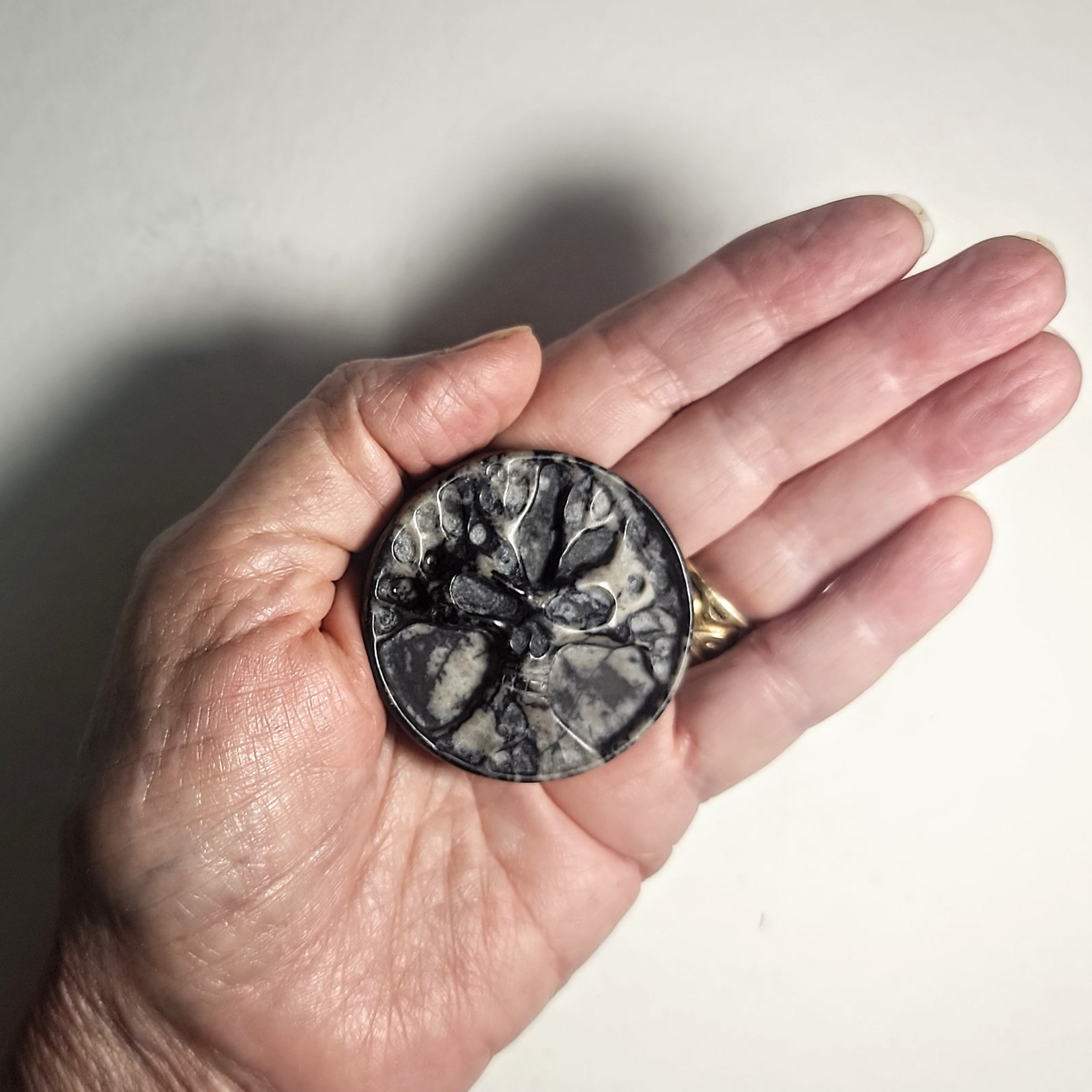 מטבע ג'ספר קורי עכביש Spider Web Jasper עם גילוף עץ וגולגולת, שחור-אפור, 4.8 ס"מ – תמונה 2